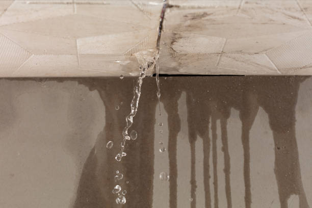 Professional Flood Damage Cleanup technician working in Petersburg, IL